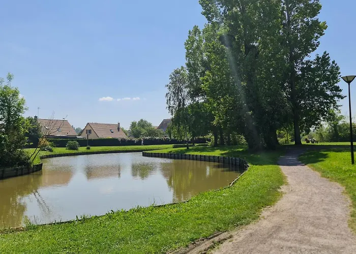 Lumineux Dans Calme Et Arboree *