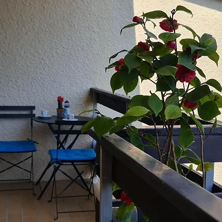 Lumineux Dans Calme Et Arboree Cabourg