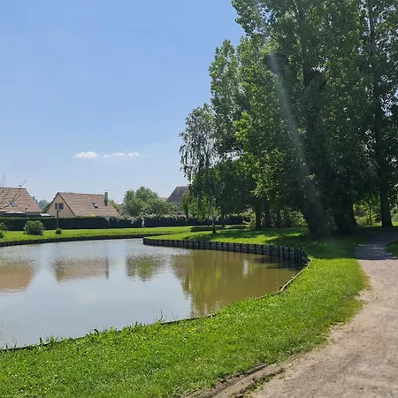 Lumineux Dans Calme Et Arboree *