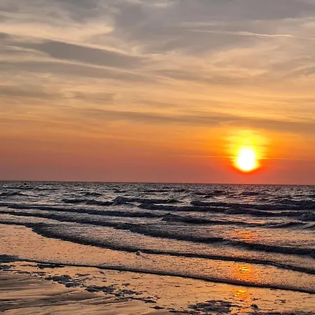 Lumineux Dans Calme Et Arboree