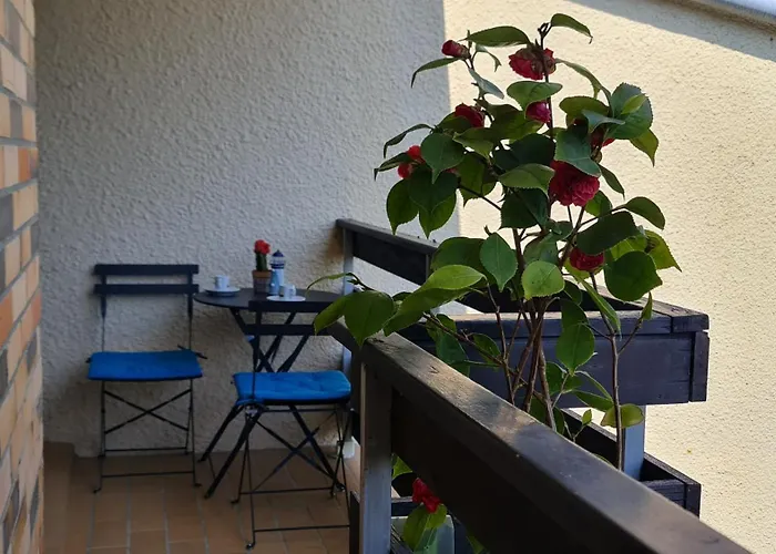 Lumineux Dans Calme Et Arboree Cabourg