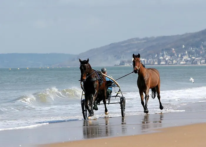 Lumineux Dans Calme Et Arboree Apartmán Cabourg