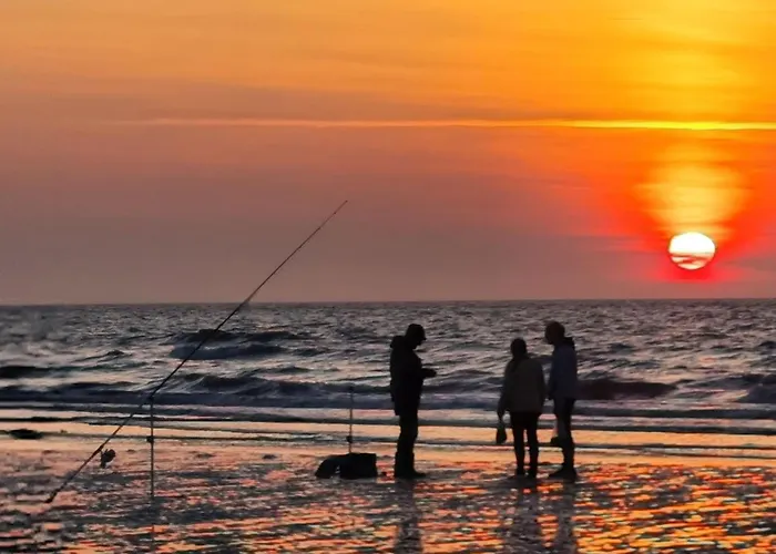 Lumineux Dans Calme Et Arboree *