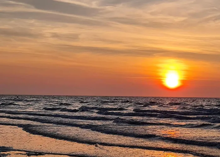 Lumineux Dans Calme Et Arboree